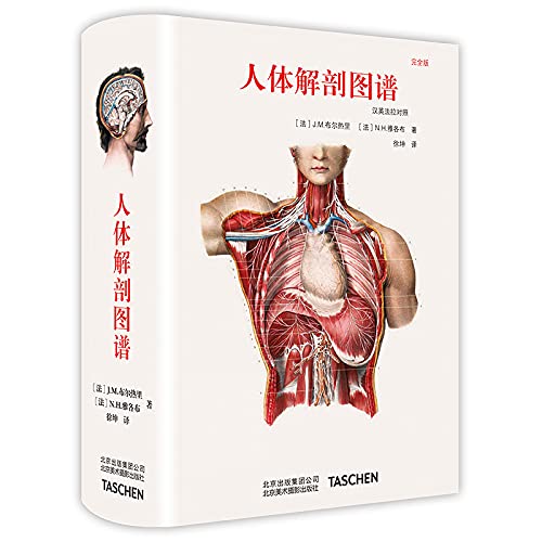 中文版Taschen原版引进Altas of Human Anatomy人体解剖图谱 真人比例人体手绘手稿艺术画册700余幅彩色图谱 Books