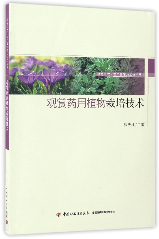 团扇 赏饰——宋·人物 Books