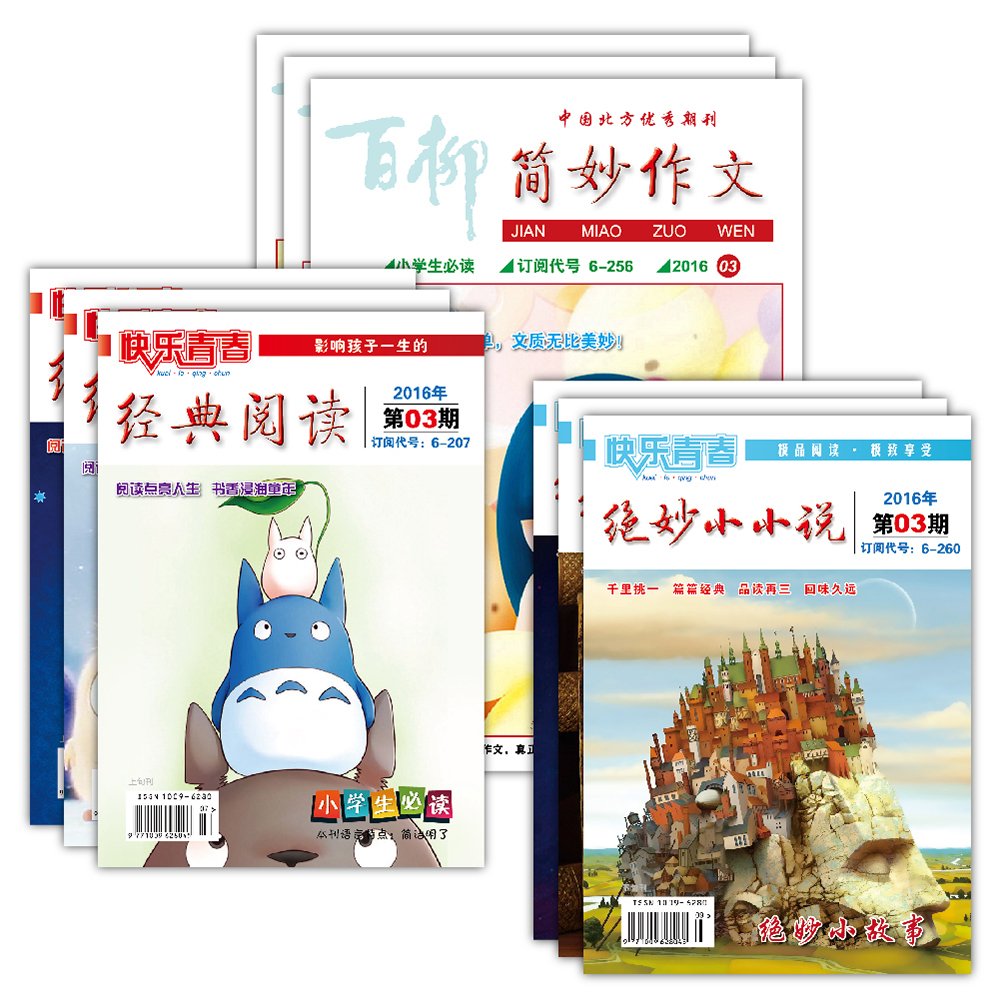 红色经典丛书：小二黑结婚 Books