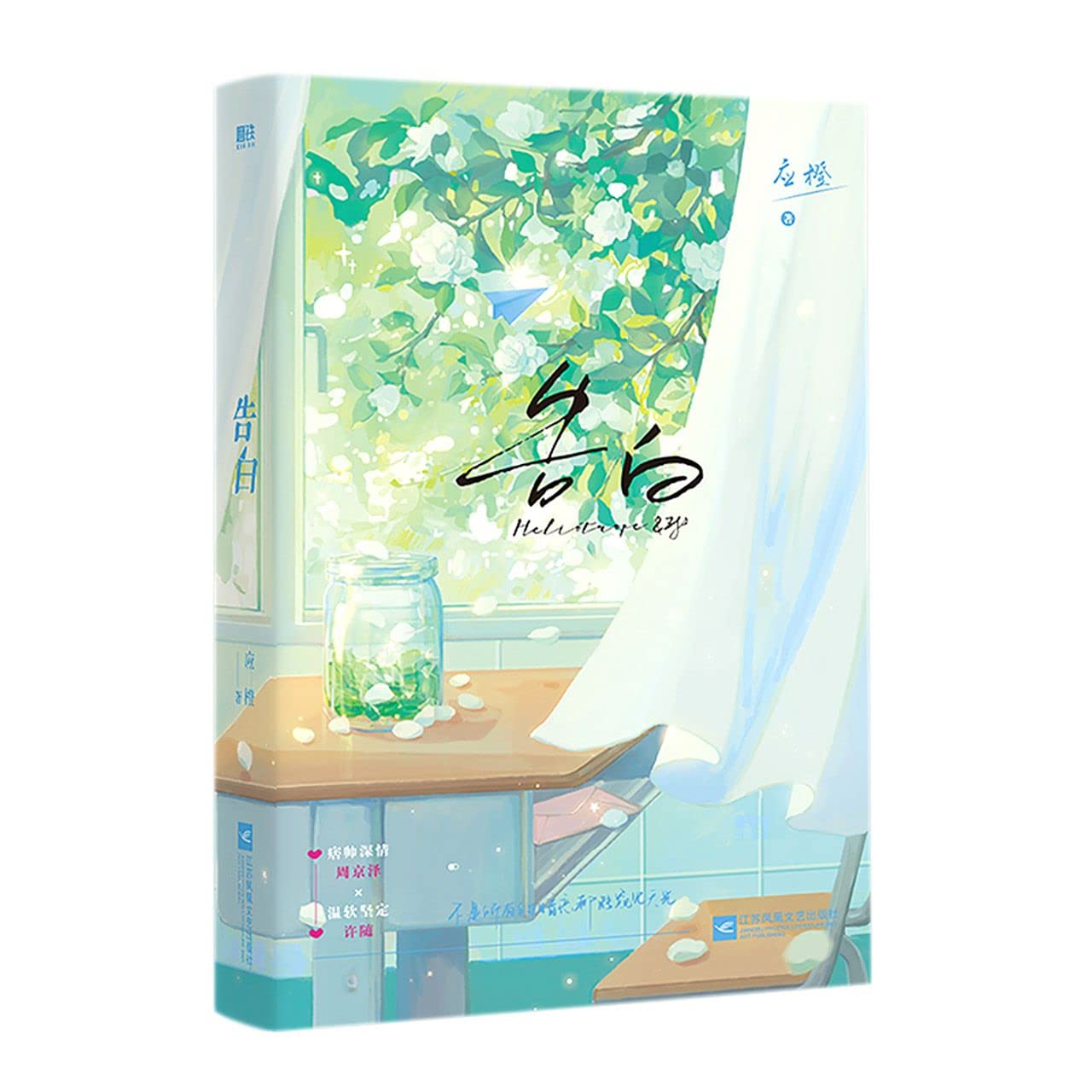 Confession (Chinese Edition) Books