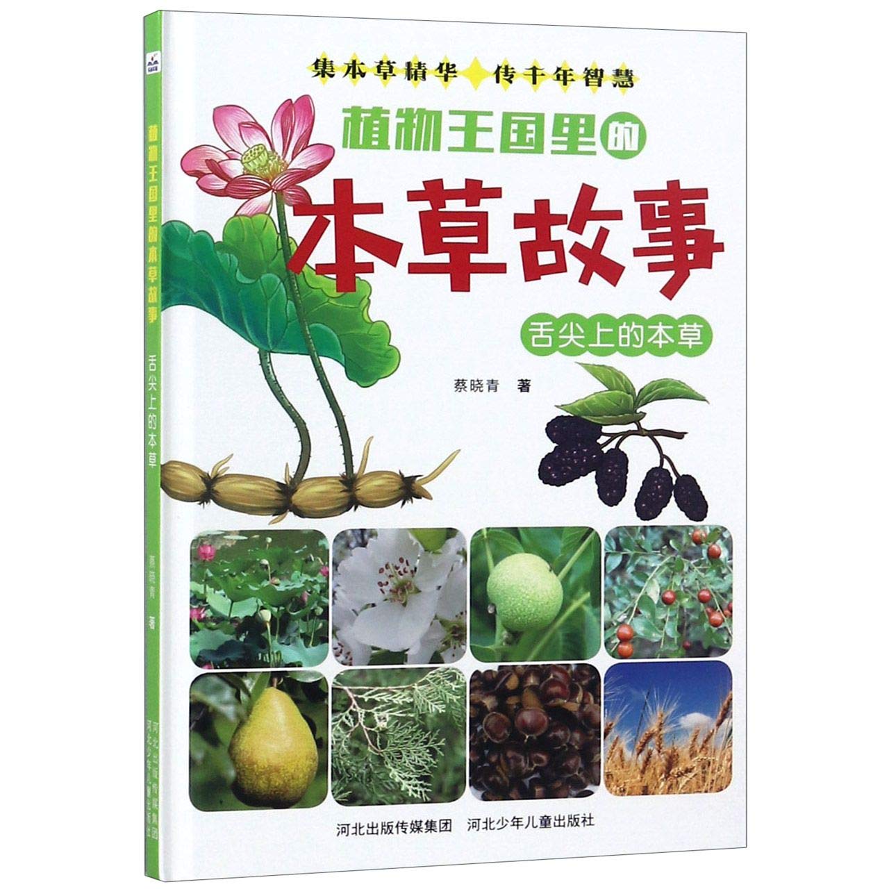 植物王国里的本草故事：舌尖上的本草 book