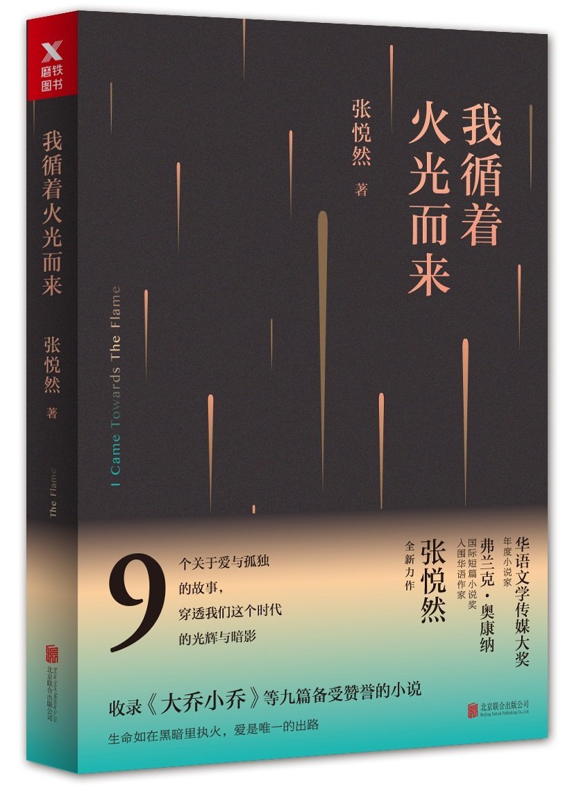 I Came Towards the Flame (Chinese Edition) Books
