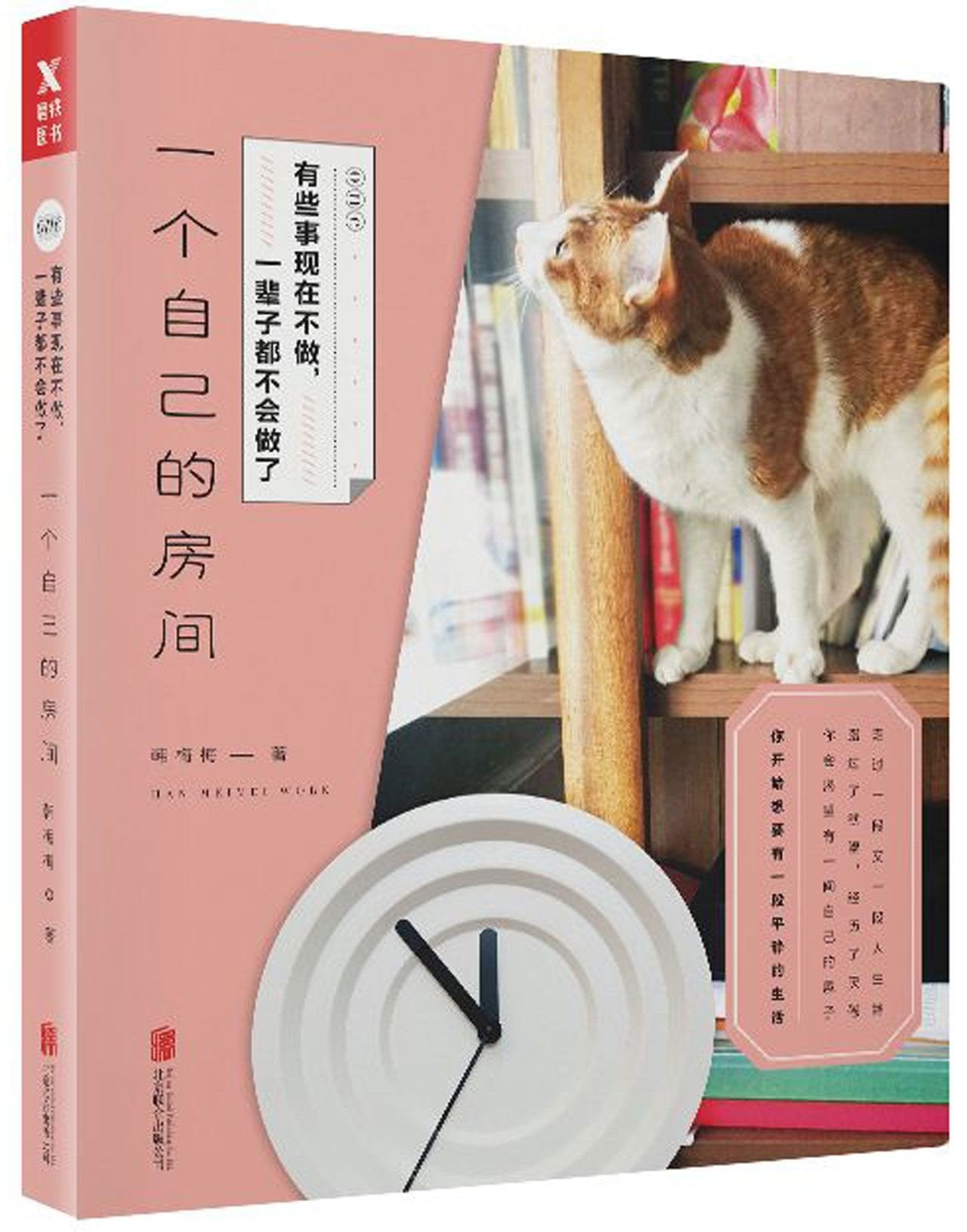 The Room of Your Own (Chinese Edition) Books