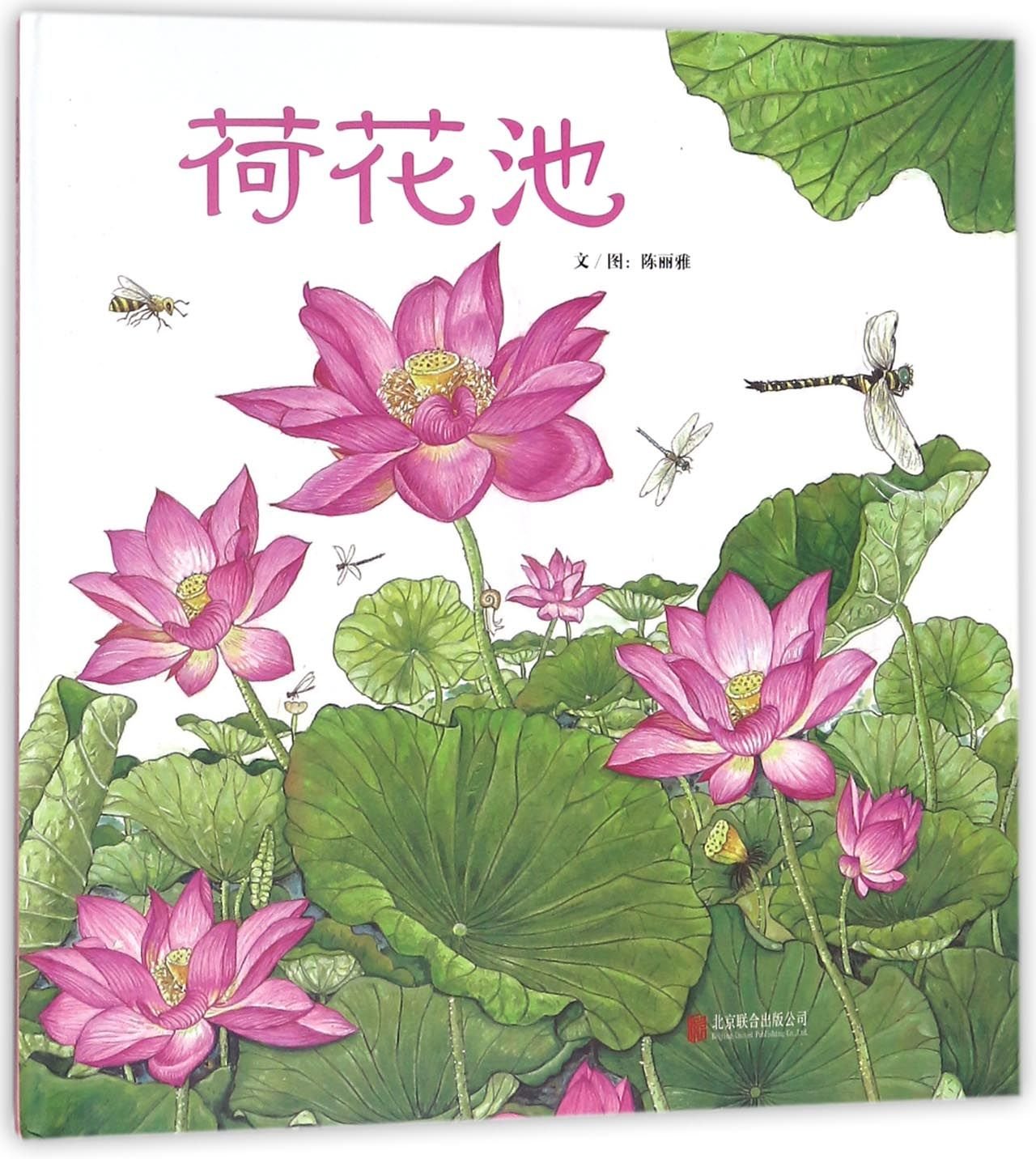 Lotus Pond (Hardcover) (Chinese Edition) Children's books