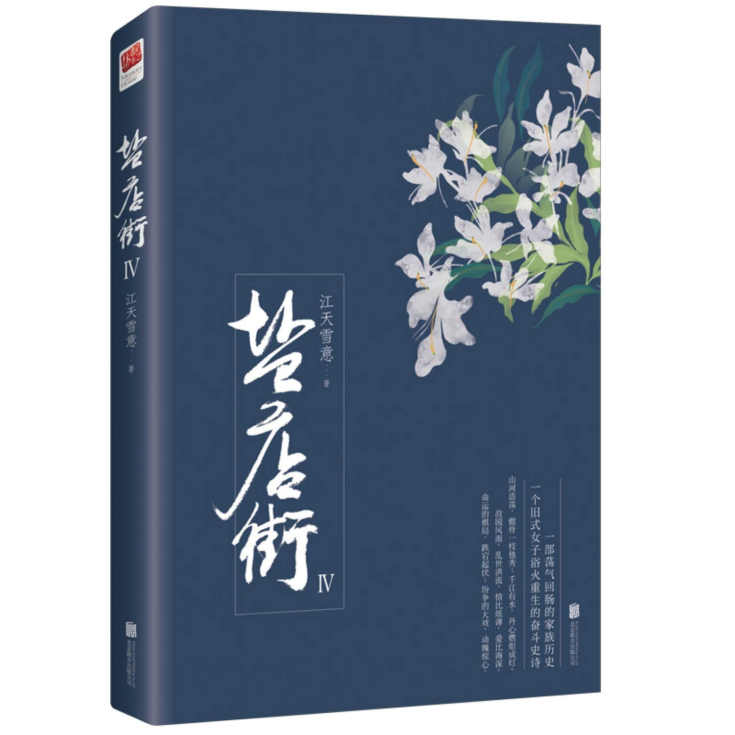 盐店街(Ⅳ) Books