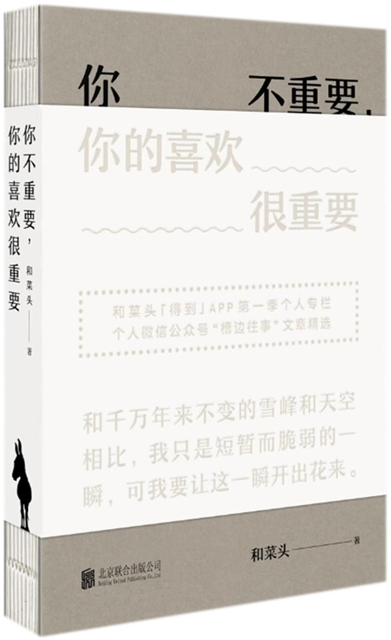 You Are Not Important, Your Likes are (Chinese Edition) Books