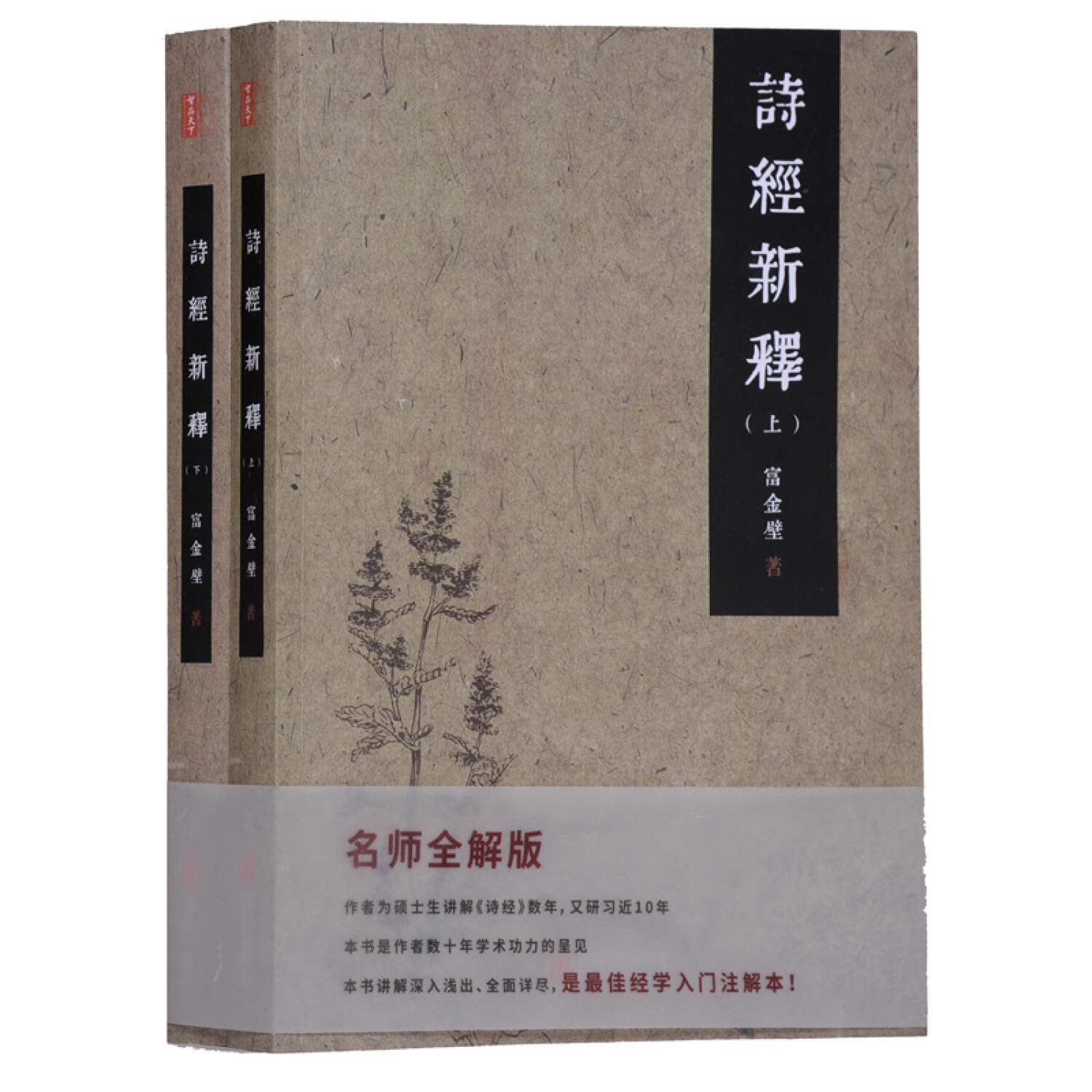 诗经新释(名师全解版) 富金壁 著 中国古典小说诗词正版全诗经全集全文注释诗经译注插图版诗经图解 Books