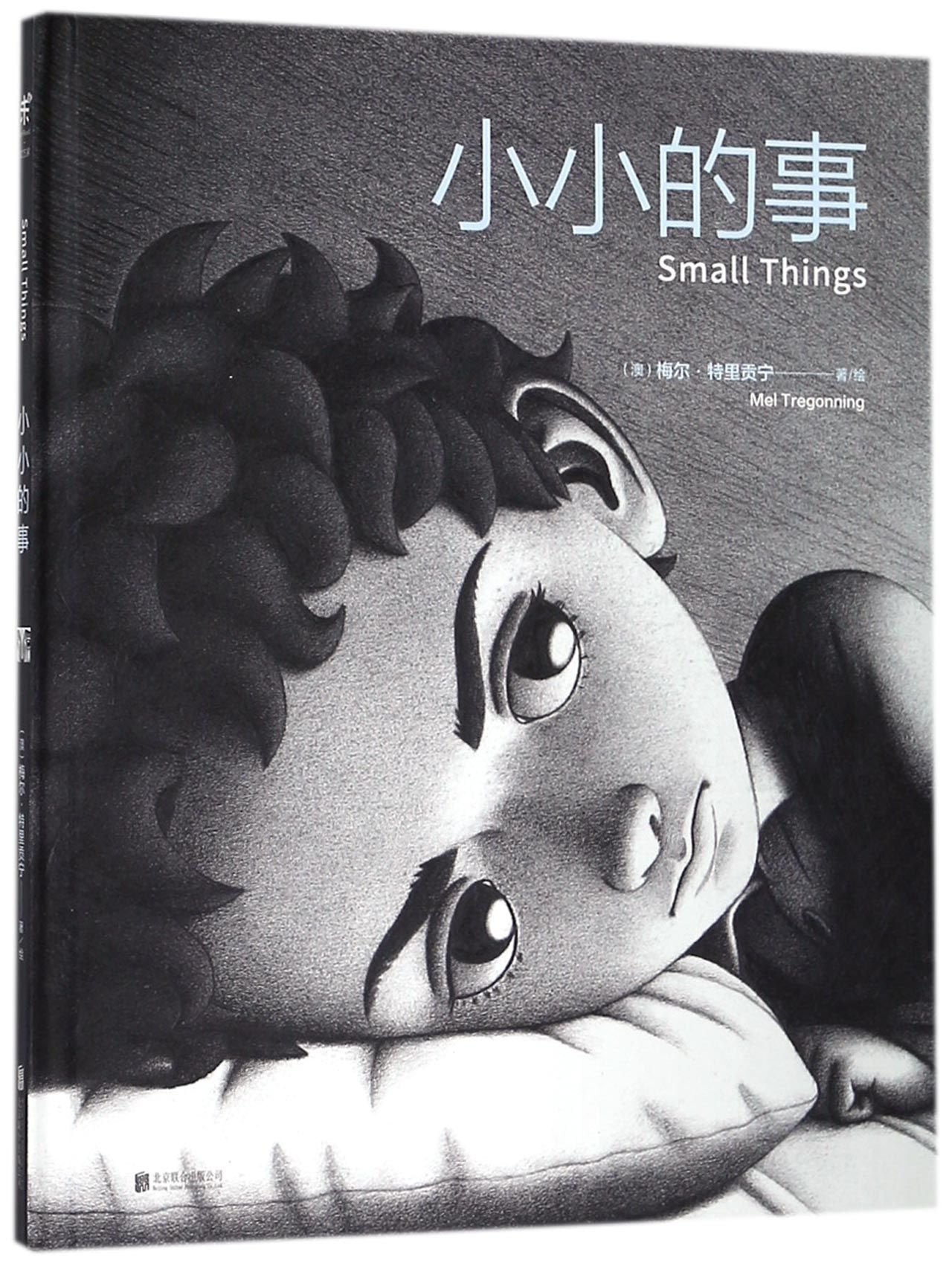 Small Things (Chinese Edition) Books