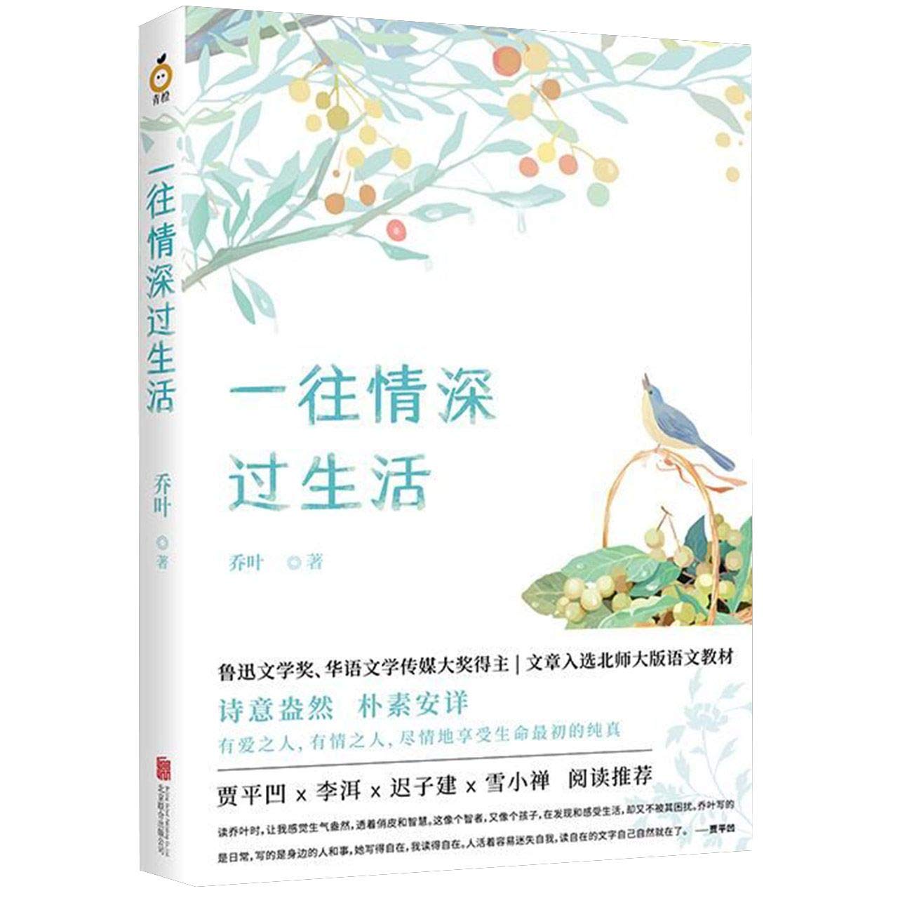 Live a Passionate Life (Chinese Edition) Books