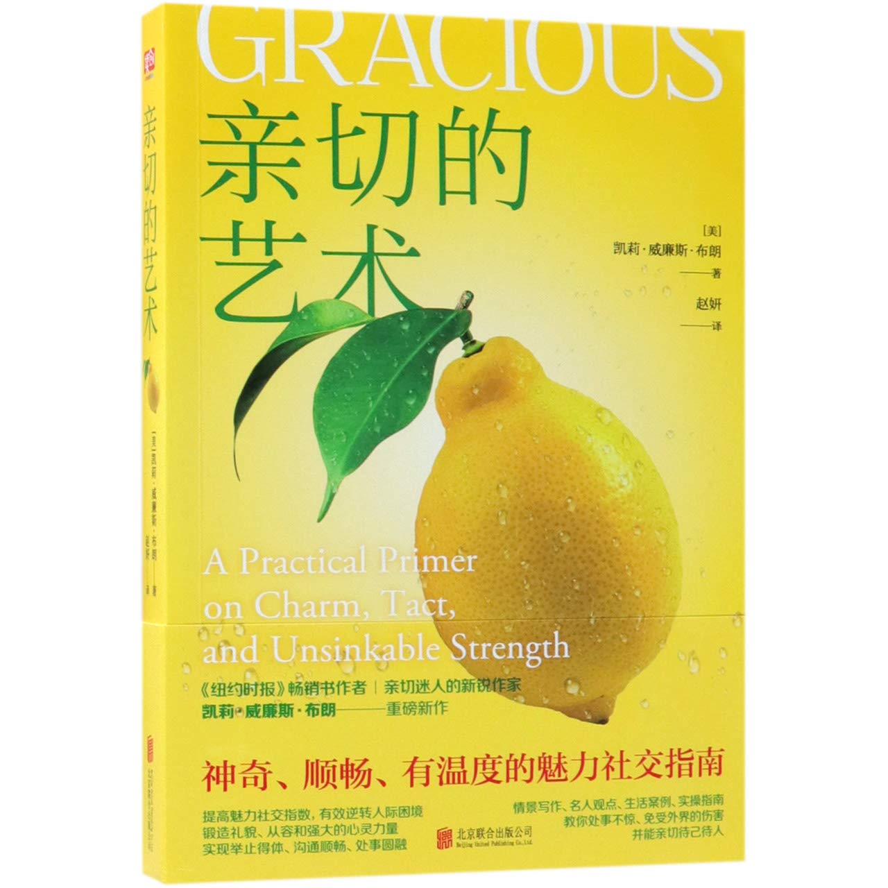 Gracious: A Practical Primer on Charm, Tact, and Unsinkable Strength (Chinese Edition) Books