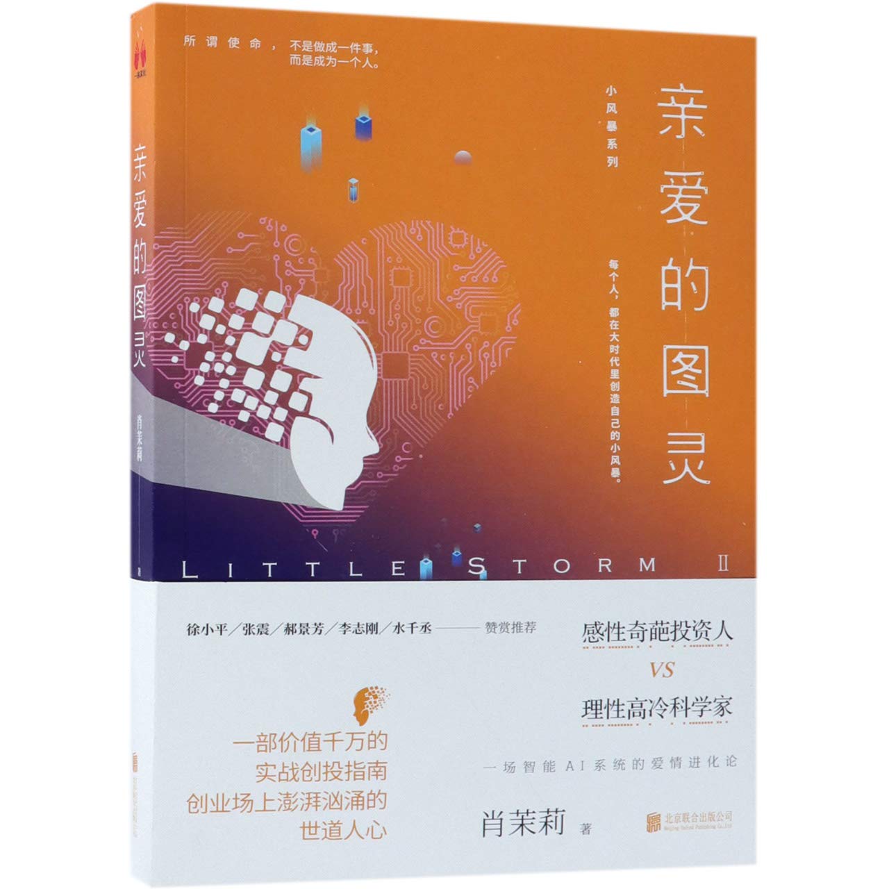 Little Storm 2.0: Dear Turing (Chinese Edition) Books