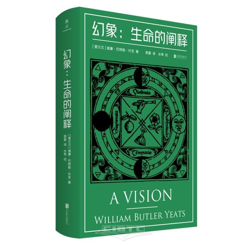 A Vision(Hardcover) (Chinese Edition) Books