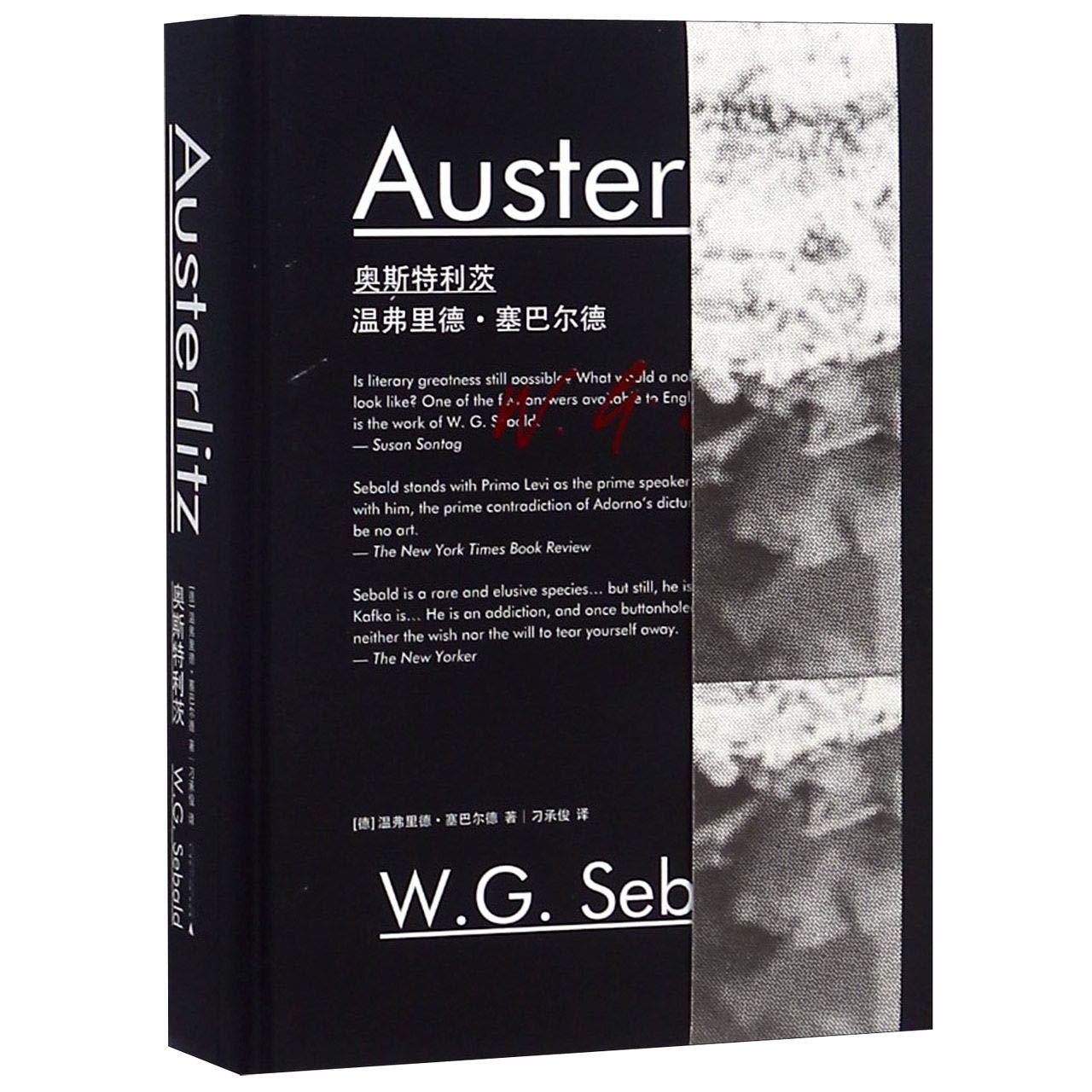 Austerlitz (Chinese Edition) Books