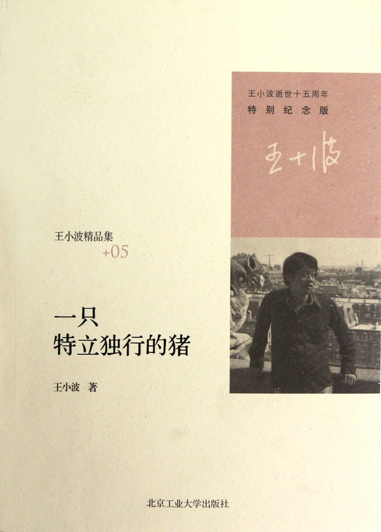 王小波作品集 我的精神家园 一只特立独行的猪 黄金时代 白银时代 青铜时代三部曲作品集 现当代小说沉默的大多数 文学经典阅读 book