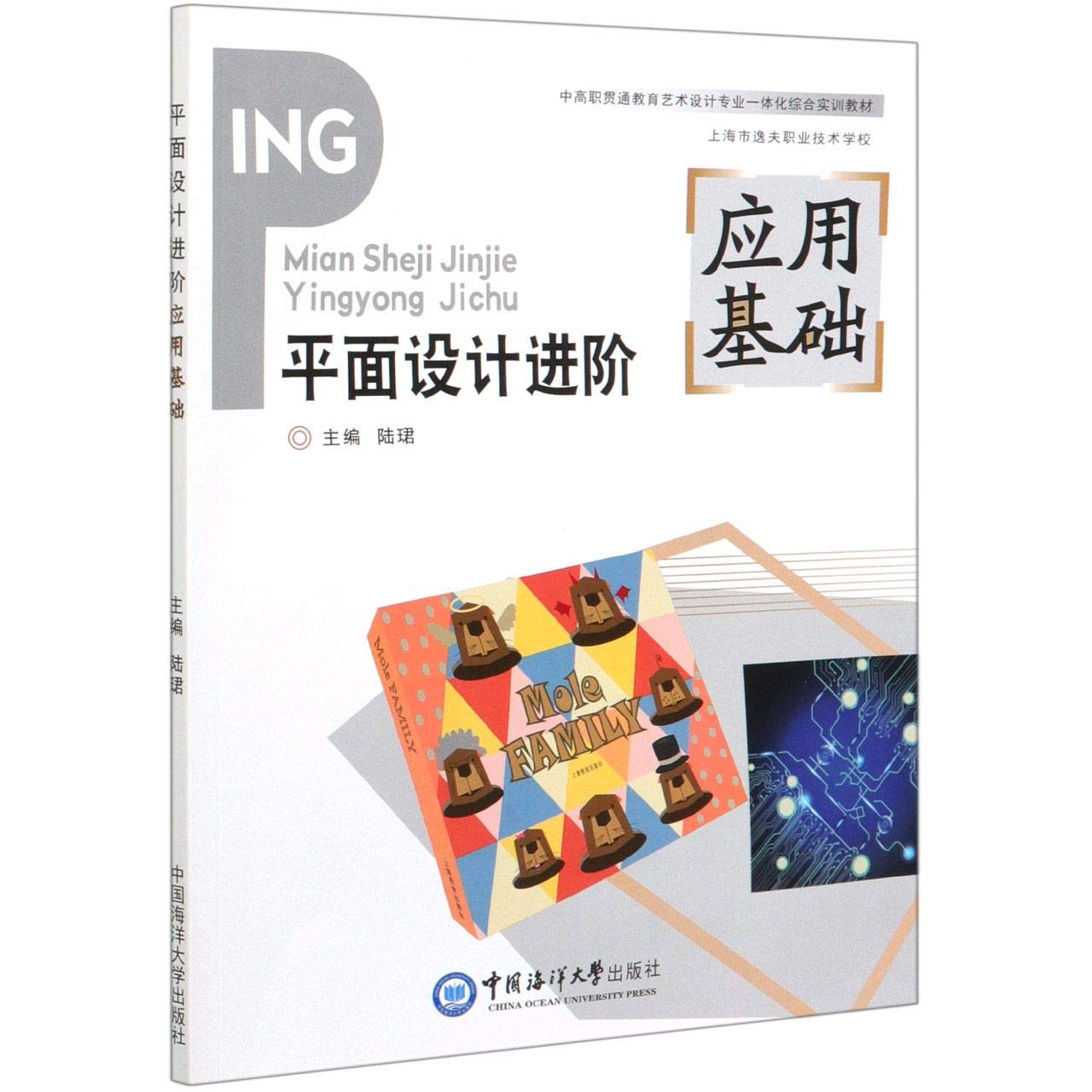 平面设计进阶/应用基础中高职贯通教育艺术设计专业一体化综合实训教材 Books