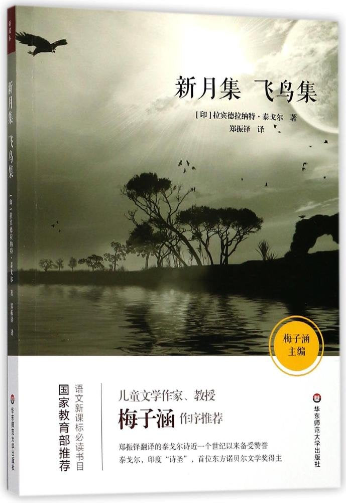 新月集·飞鸟集 语文新课标书目 儿童文学作家梅子涵作序推荐 原版经典插图 中小学生课外阅读书籍 儿童文学 华东师范大学出版社 Books