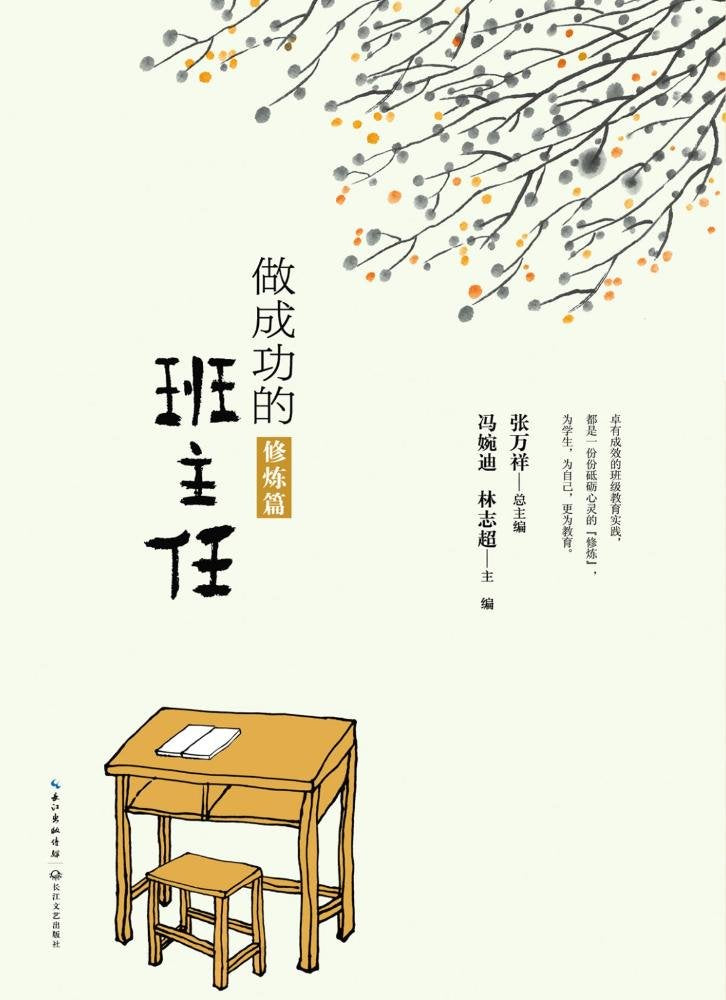 大教育书系：做成功的班主任·实践篇 Books