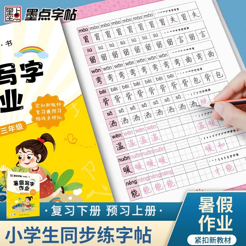 墨点字帖正楷小学二升三升四升五升六年级下册暑假衔接教材一升二练字帖同步训练题写字作业天天练练字本书法入门1升2专项阅读练习宇丛轩精品 Books