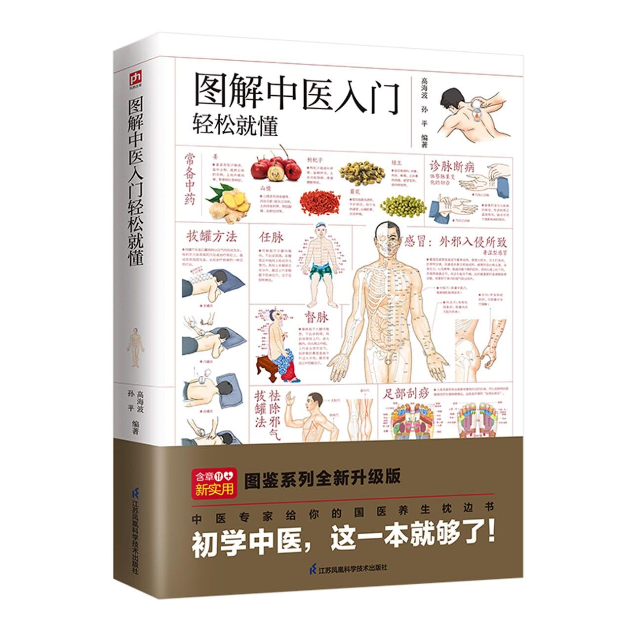 图解中医入门轻松就懂 中医入门科普图解书 从理论到实操 从诊断到治疗 按摩 拔罐 艾灸 刮痧 一应俱全 速学速用 初学中医 这一本就够了 Books