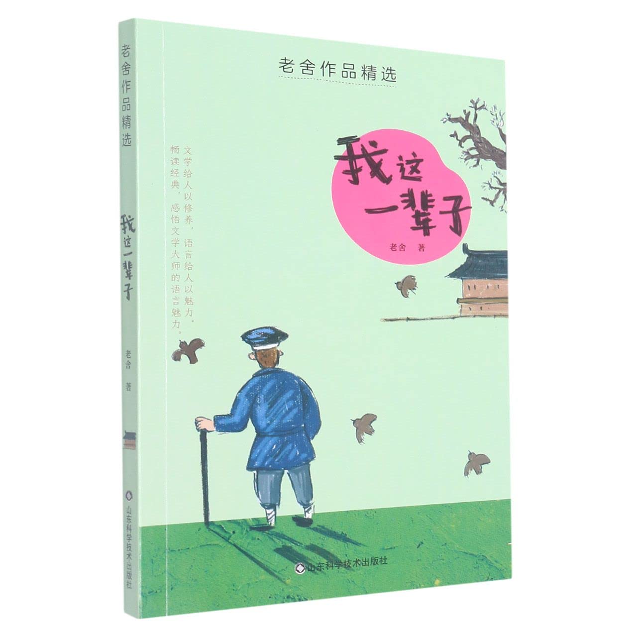 我这一辈子/老舍作品精选 book