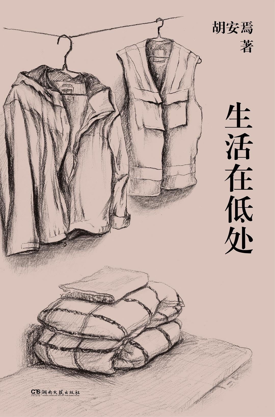 生活在低处（《我在北京送快递》作者胡安焉2024非虚构新作）回溯童年和原生家庭，完整梳理写作历程，低处的生活，开出鲜亮的花朵 book