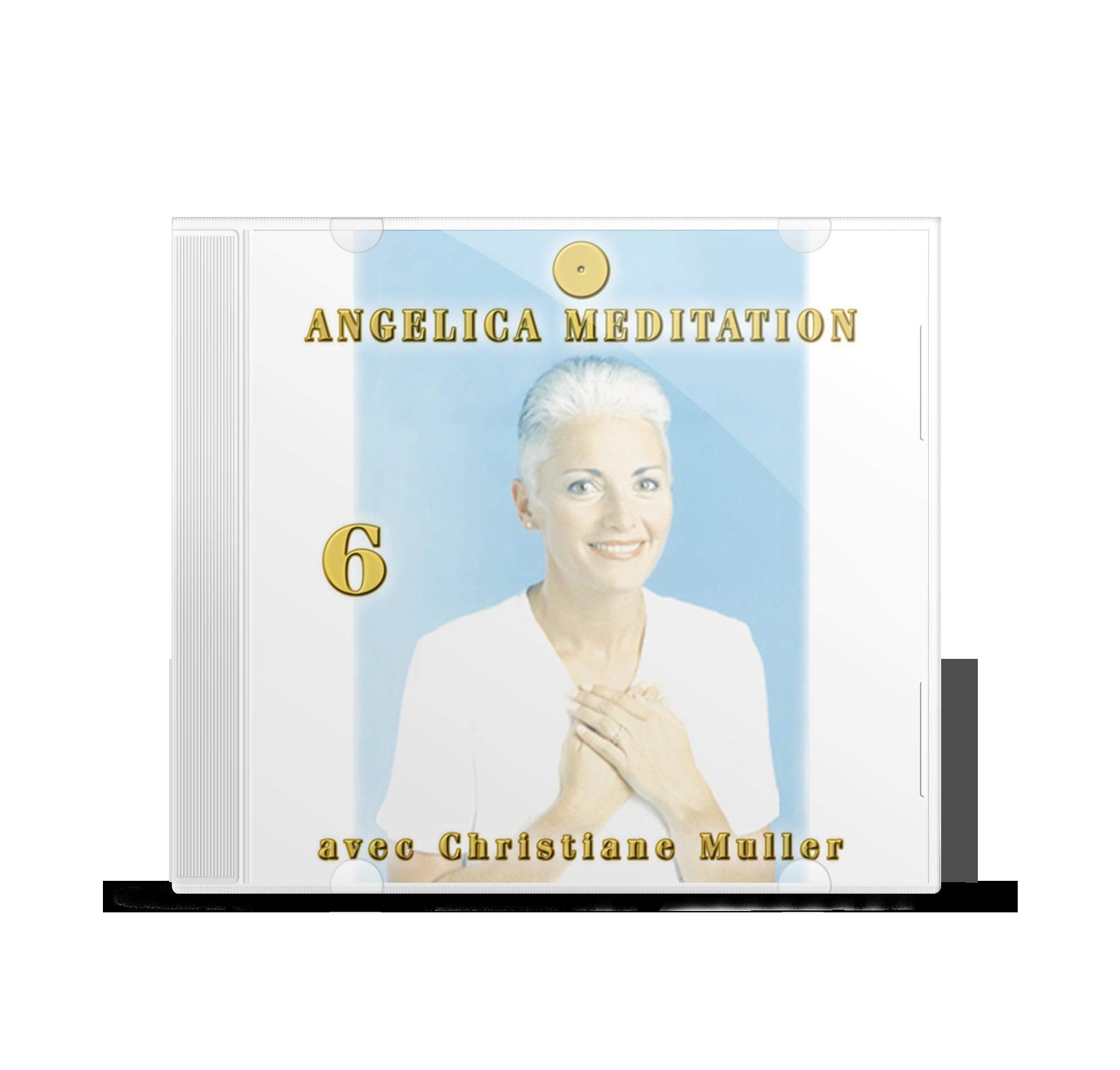 Vol. 6 Angelica Méditation (Anges 42 à 37) book