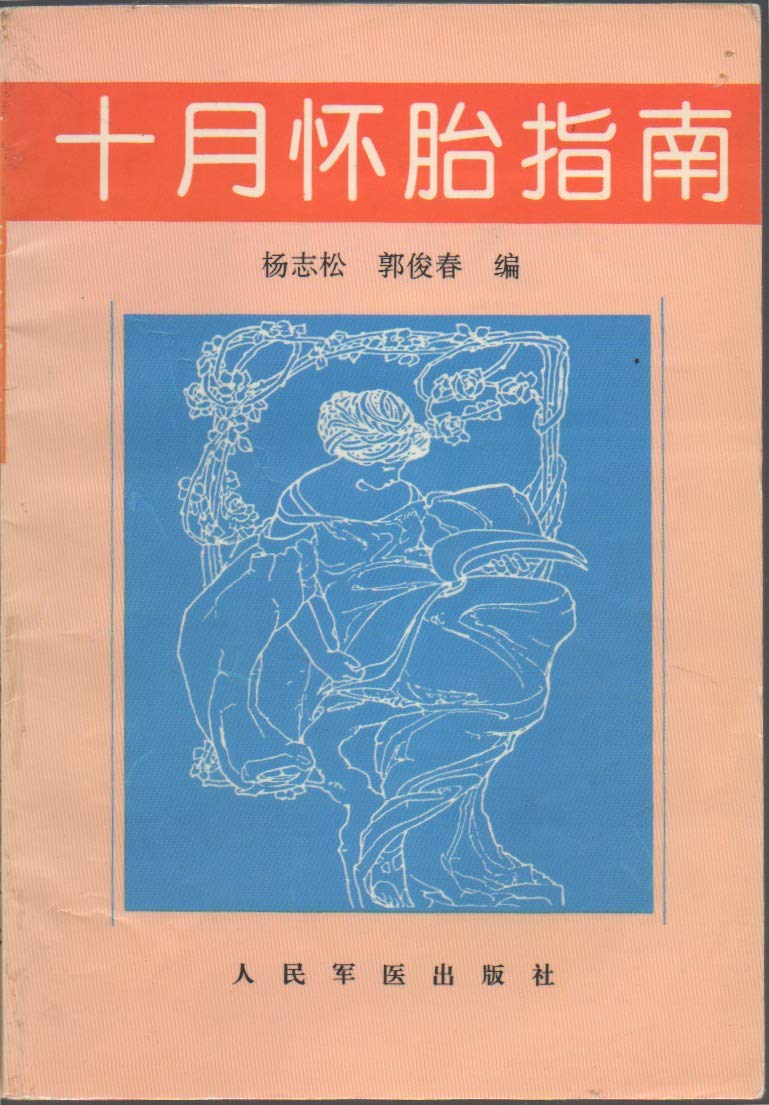 十月怀胎指南 book
