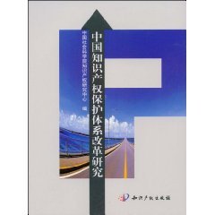 中国知识产权保护体系改革研究 Books