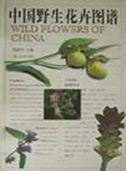 Wild Flowers of China Natural Sciences