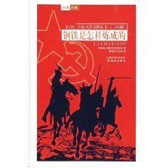 钢铁是怎样炼成的尼·奥斯特洛夫斯基、【新华书店，放心选购】 book