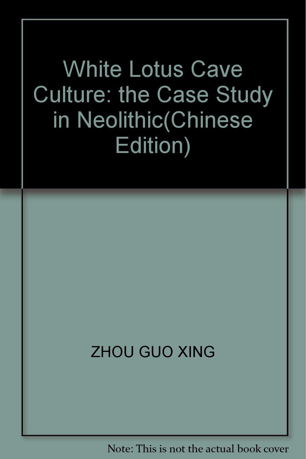 【正版】白莲洞文化:中石器文化典型个案的研究 周国兴 广西科学技术出版社 9787806669785 Books