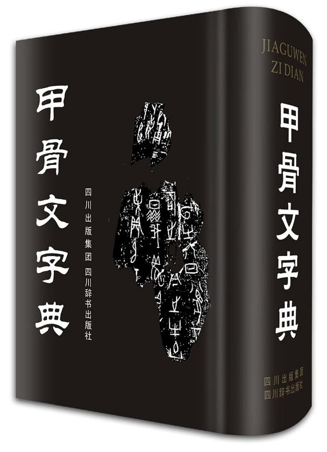 正版现货 甲骨文字典(精装) 甲骨文常用字字典 全两册 徐中舒 四川辞书出版社 中华书局 book
