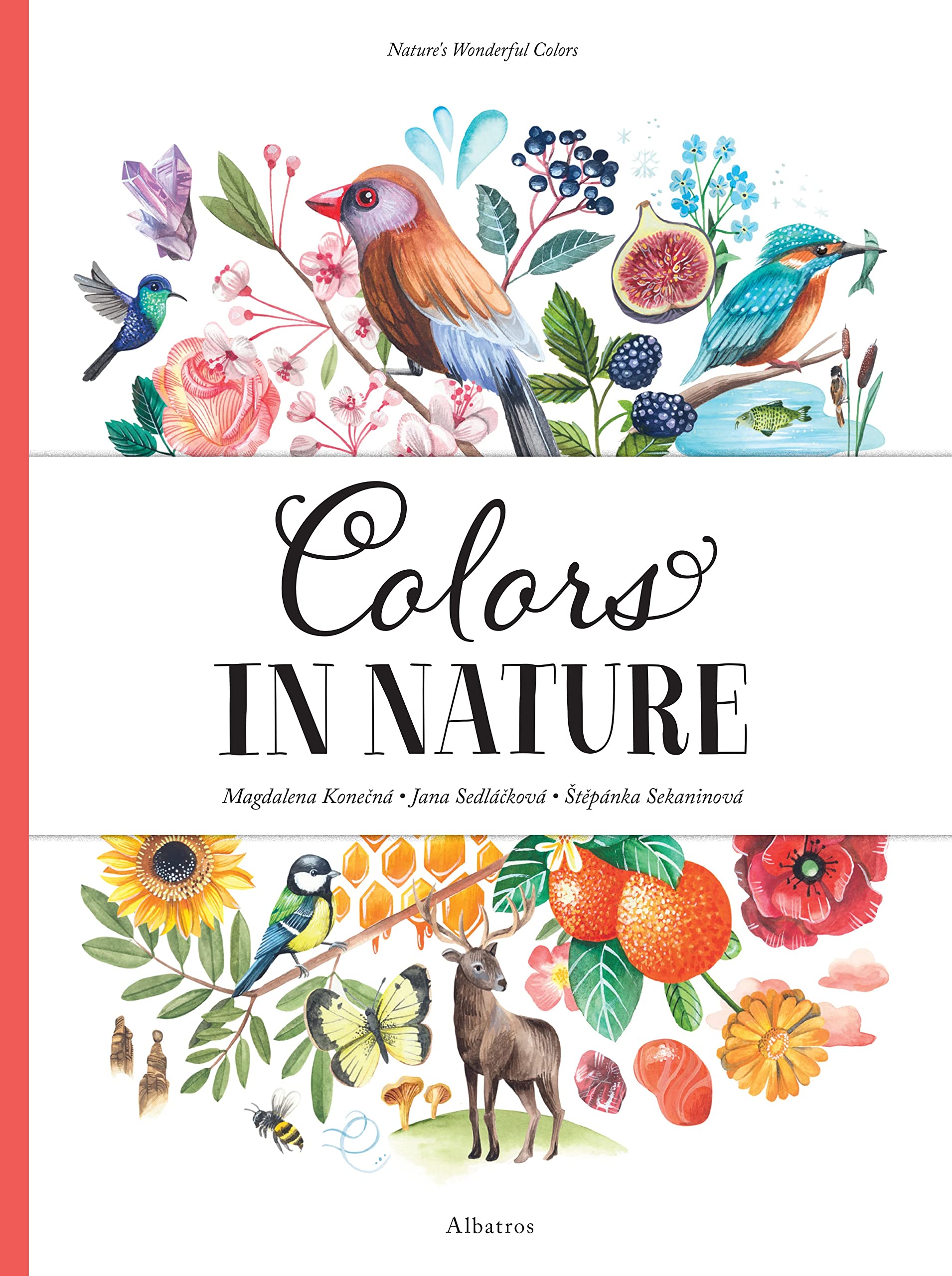 Colors in Nature (Nature's Wonderful Colors, 1) Non-fiction