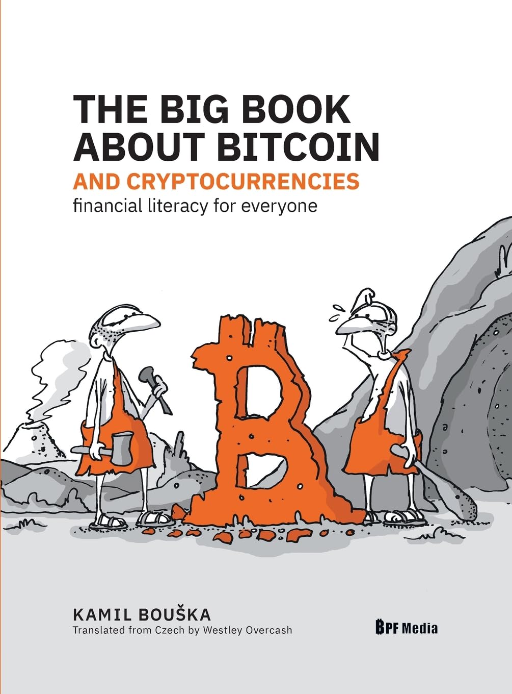 The Big Book about Bitcoin and Cryptocurrencies book