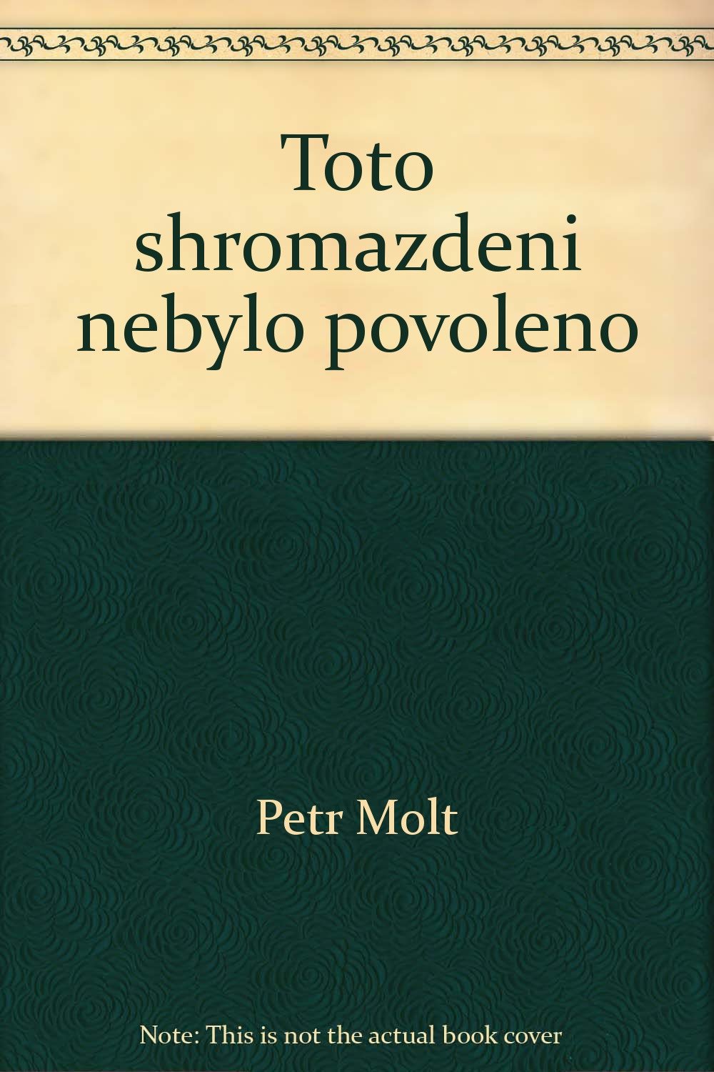 Toto shromazdeni nebylo povoleno--: Svedectvi fotoreporteru Mlade fronty, podzim 1989 book