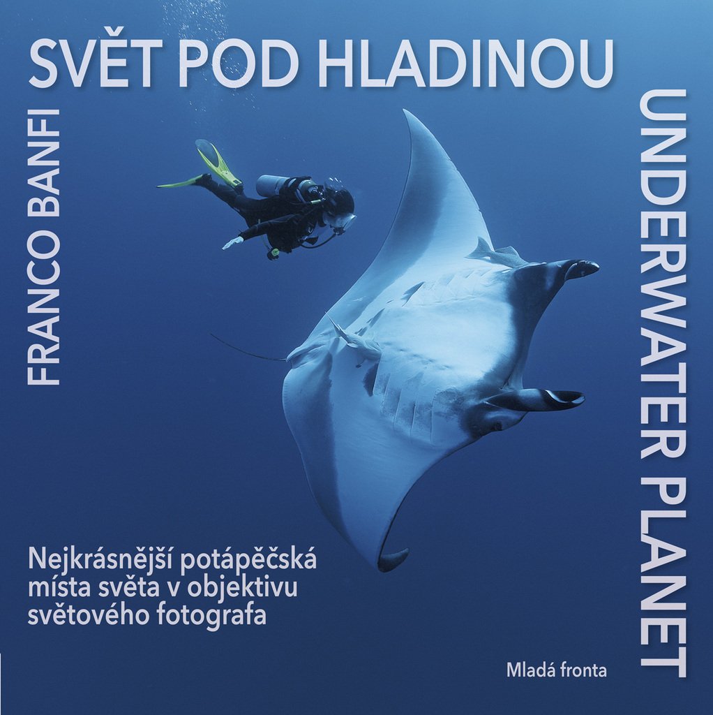 Svět pod hladinou: Nejkrásnější potápěčská místa světa v objektivu světového fotografa. (2008) Books