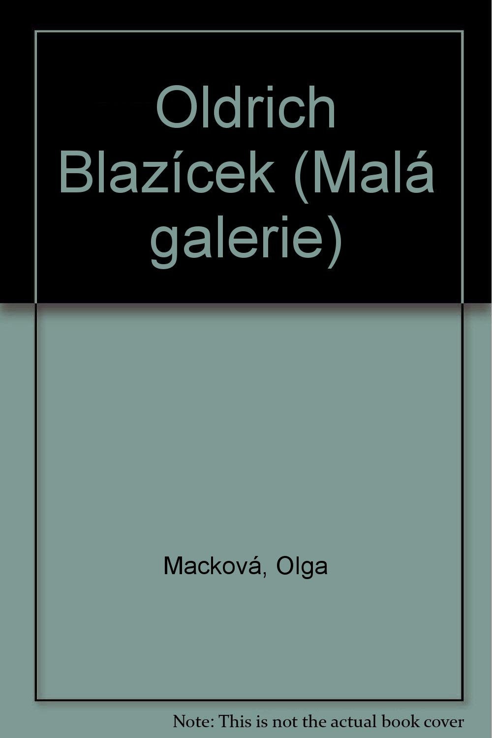 Oldrich Blazícek (Malá galerie) Books