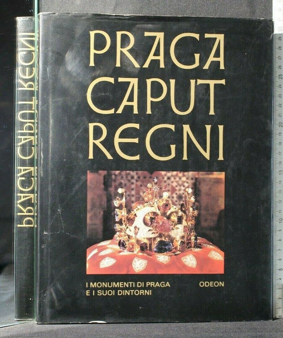 Praga caput regni i monumenti di Praga e i suoi d book