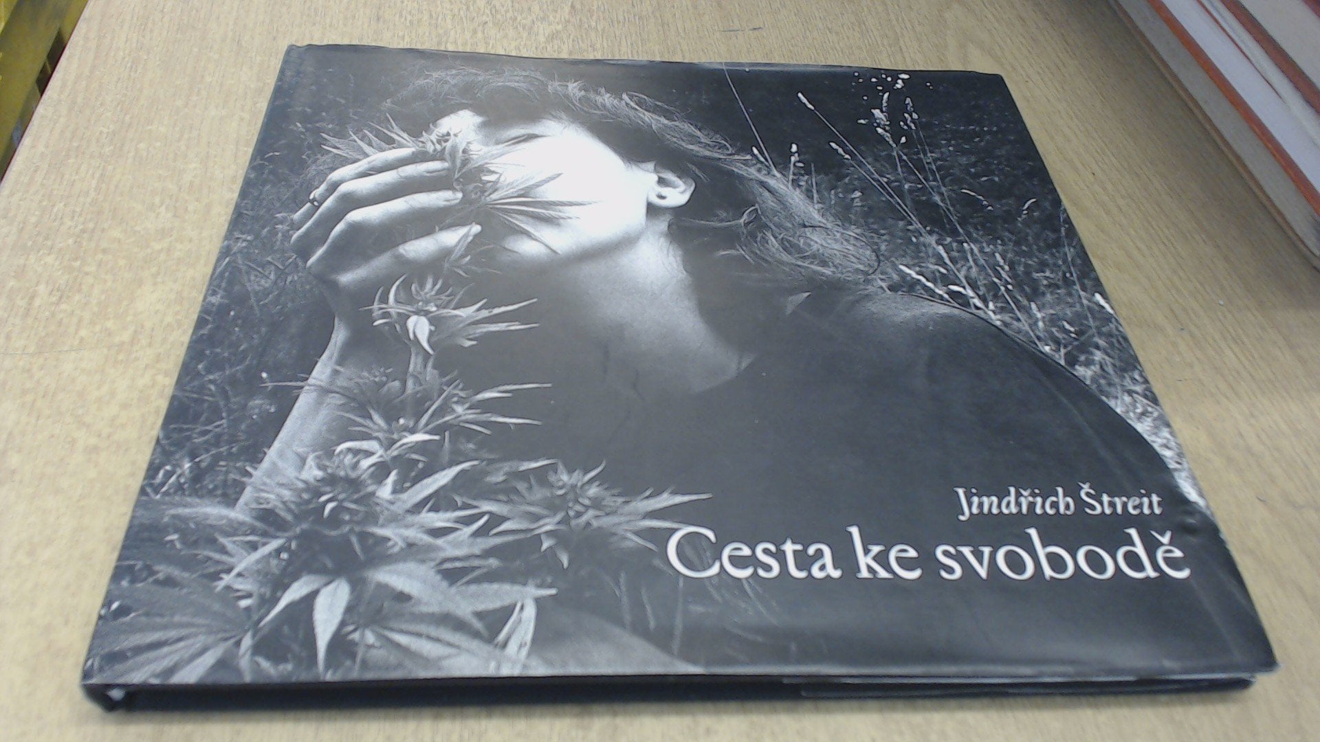 Cesta ke svobode. The Road Towards Freedom. Weg zur Freiheit. Books