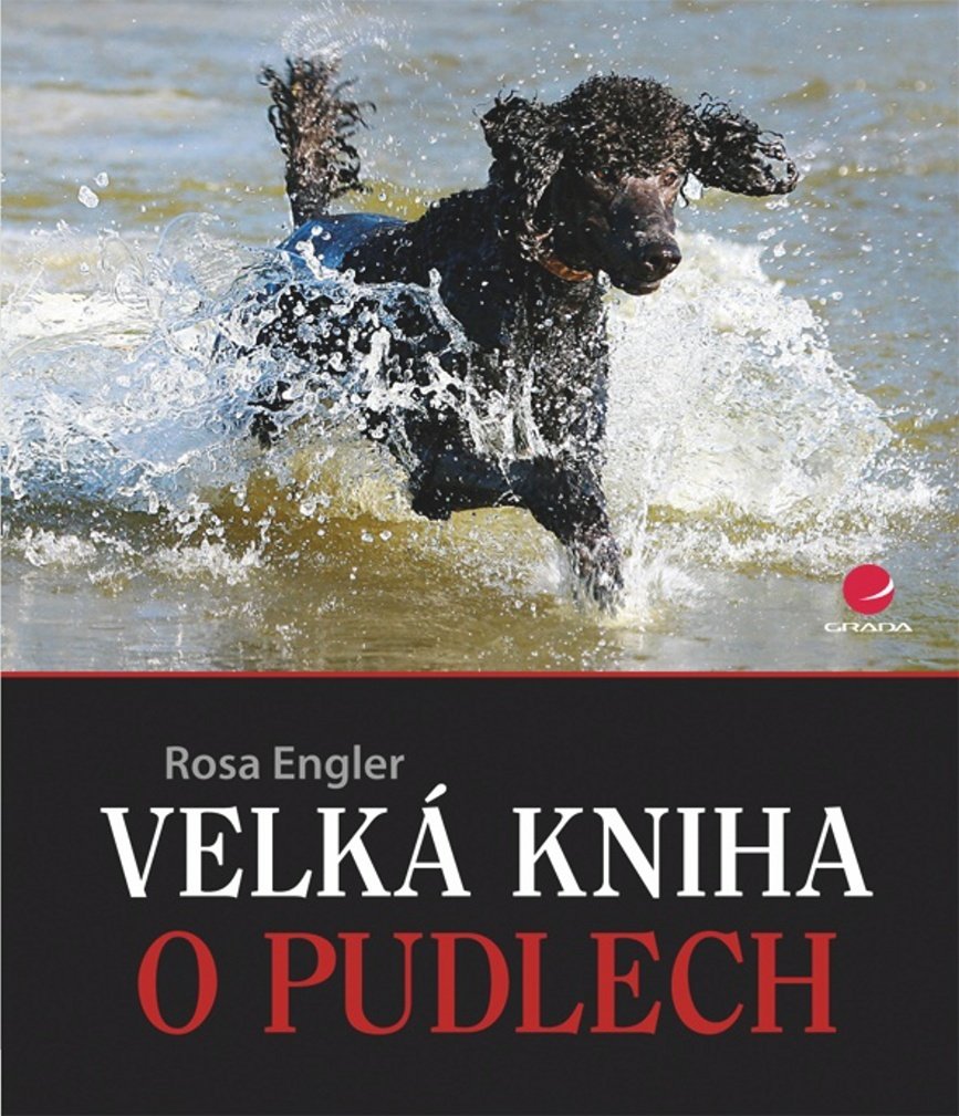 Product Image: Velká kniha o pudlech