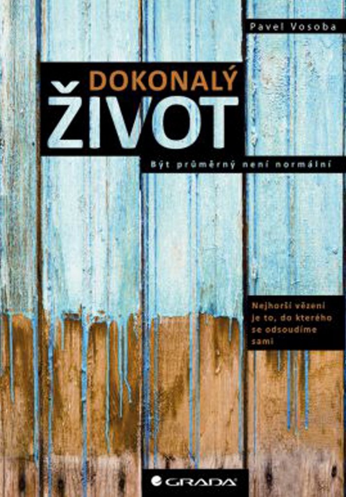 Product Image: Dokonalý život: Být průměrný není normální (2014)