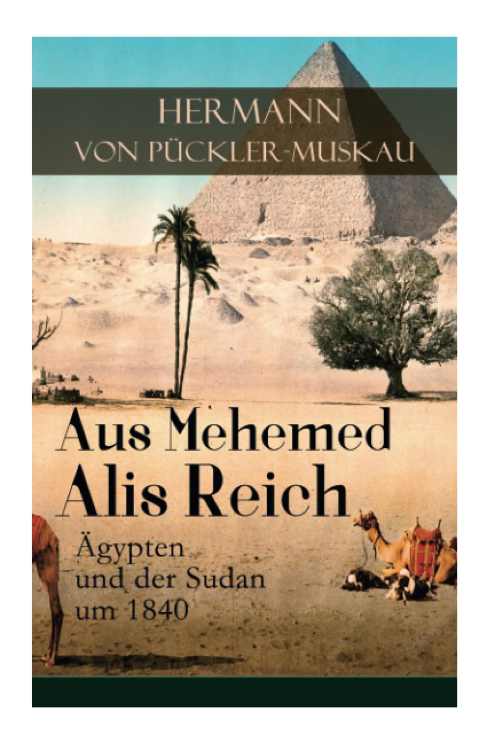 Aus Mehemed Alis Reich: Ägypten und der Sudan um 1840 Leisure, Home & Garden