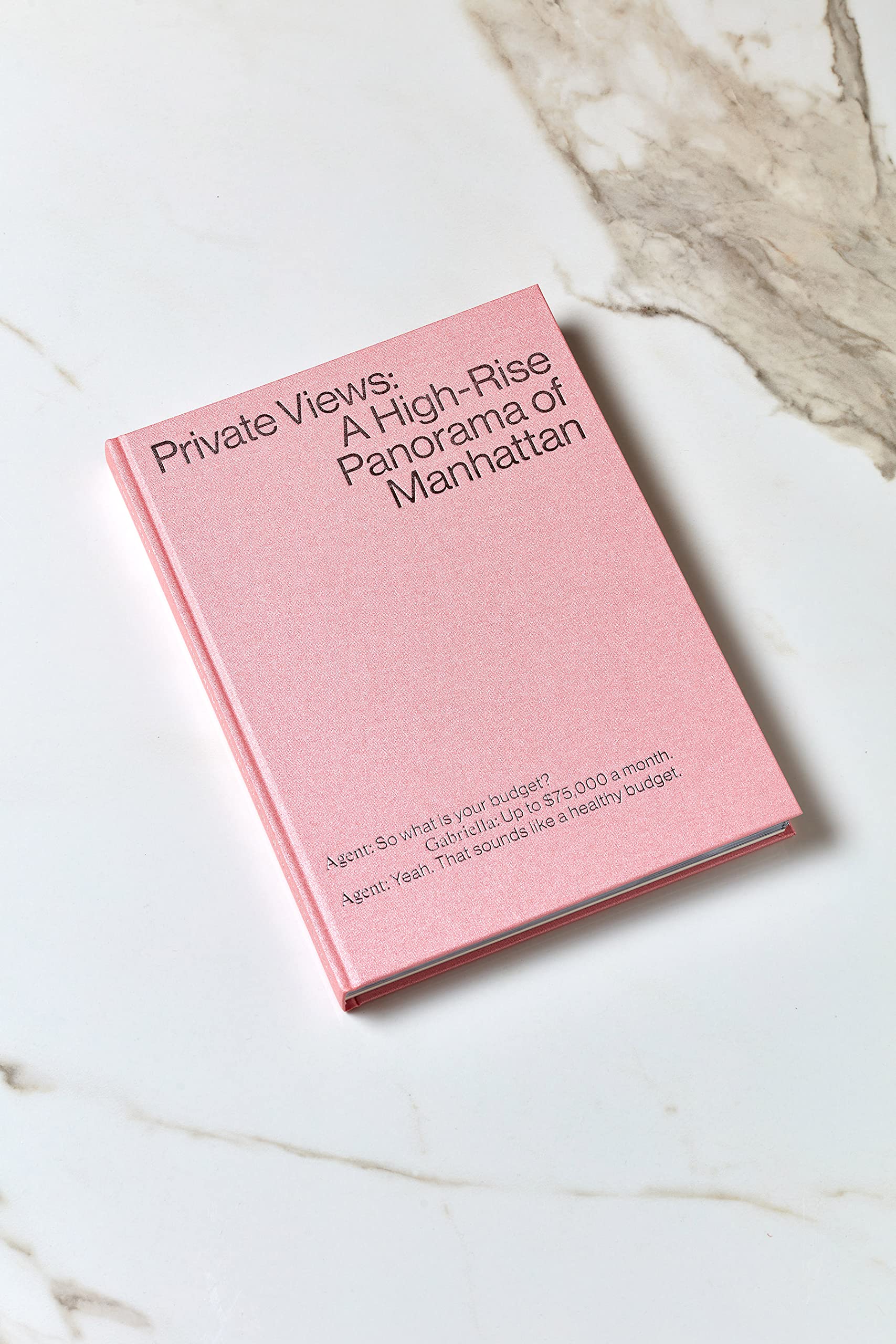 Private Views: A High-Rise Panorama of Manhattan - PINK - Signed by author Books