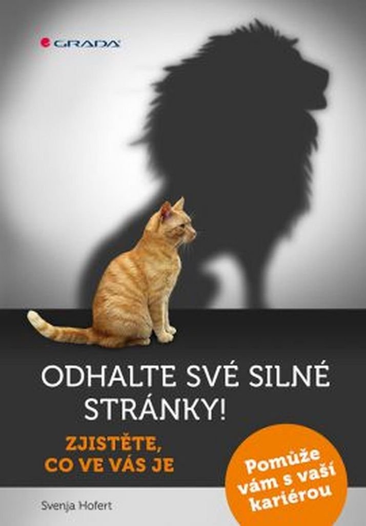 Odhalte své silné stránky!: Zjistěte, co ve vás je (2016) Books