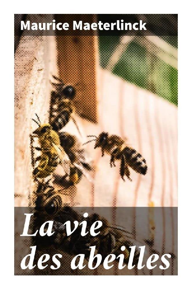 La vie des abeilles Mathematics