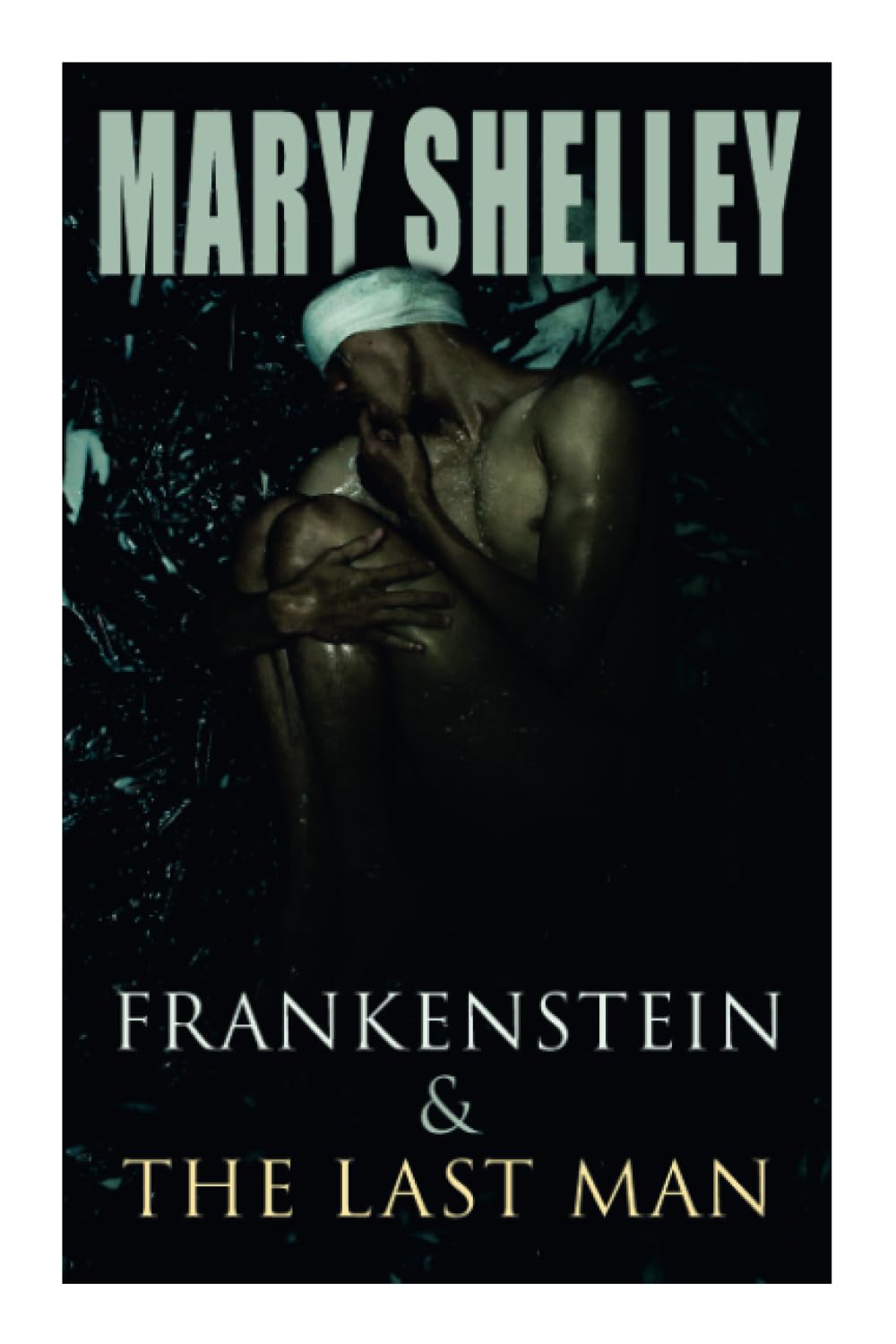 Frankenstein & The Last Man: Two Dark Fantasy Classics Horror & Mystery