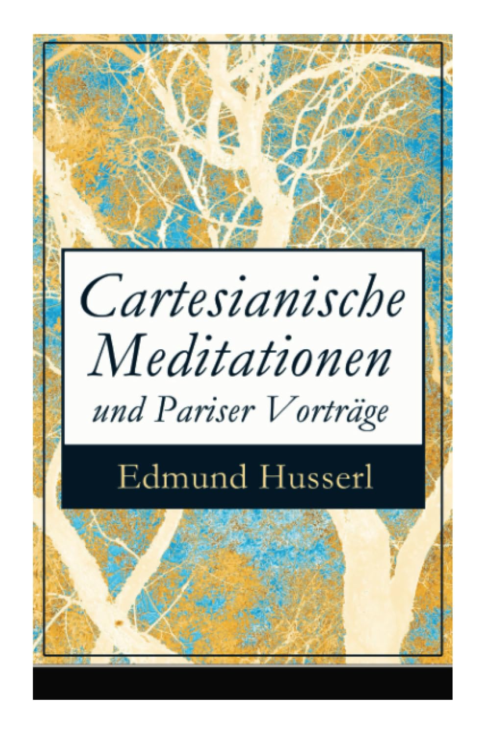 Cartesianische Meditationen und Pariser Vorträge Philosophy