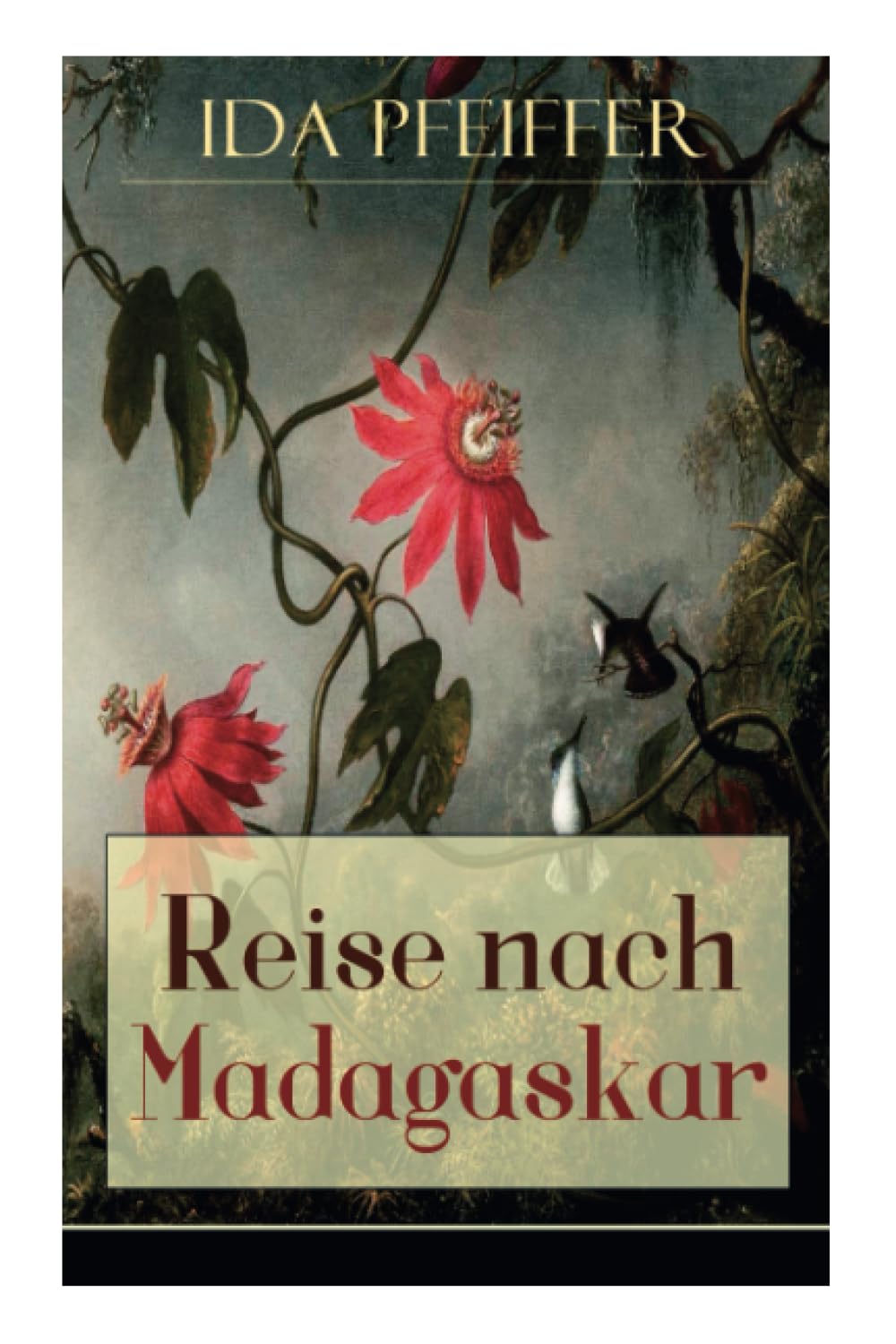Reise nach Madagaskar: Nebst einer Biographie der Verfasserin, nach ihren eigenen Aufzeichnungen (Ihre letzte Reise) Politics & Society