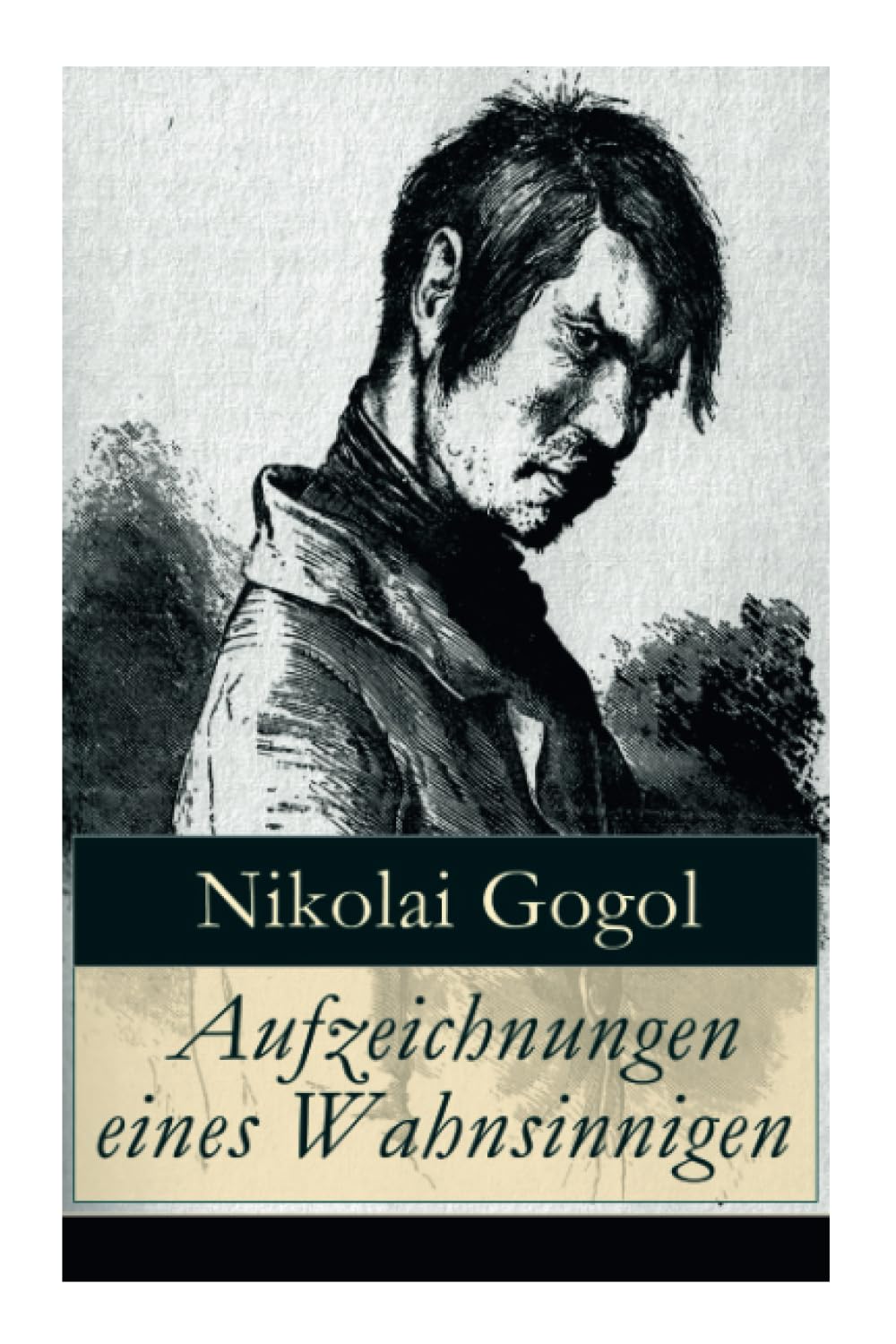 Aufzeichnungen eines Wahnsinnigen book