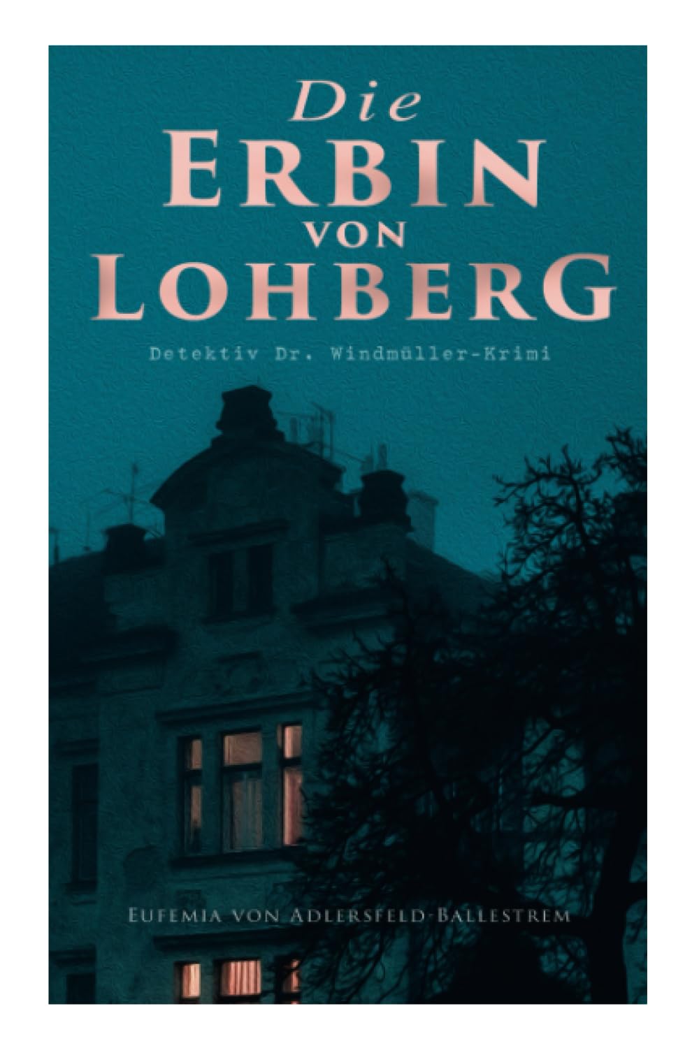 Die Erbin von Lohberg (Detektiv Dr. Windmüller-Krimi) Action & Adventure